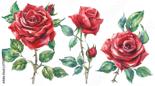 Illustration featuring a digital watercolor rendition of a bouquet of red roses set against a white backdrop. © Ron