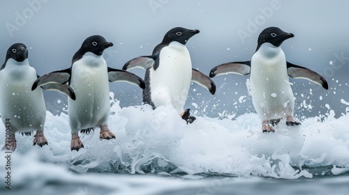 Adelie Penguin Jumping Group in Ocean at Paulet Island, Antarctica - National Geographic Style Generative AI photo