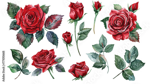 Watercolor red roses bouquet on white background digital illustration © Ron
