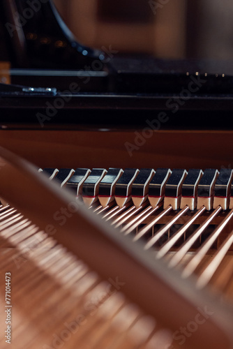 Parts of a grand piano, strings, keyboard, bridge, strut, sound board, harp 