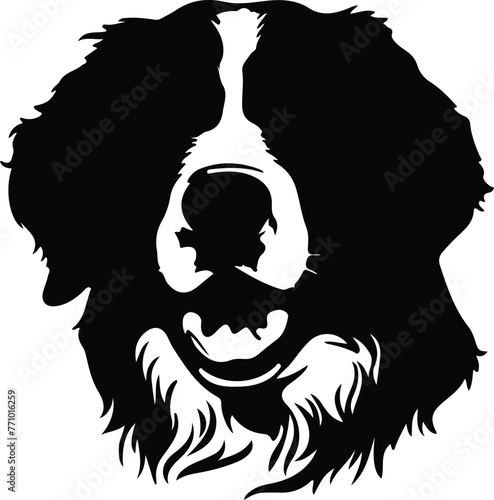 Bernese Mountain Dog portrait