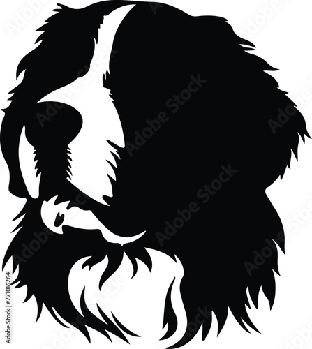 Bernese Mountain Dog portrait