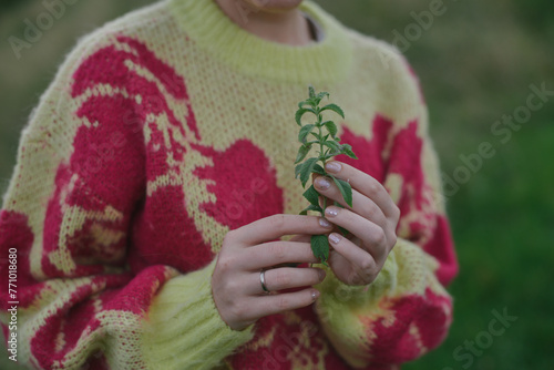 A woman in the mountain with mountain mint photo