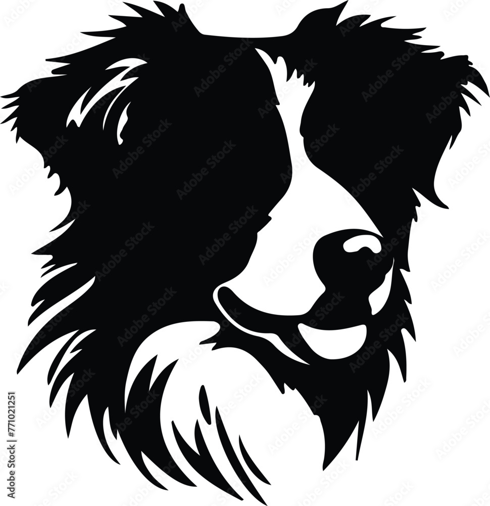 Australian Shepherd portrait Australian Shepherd portrait