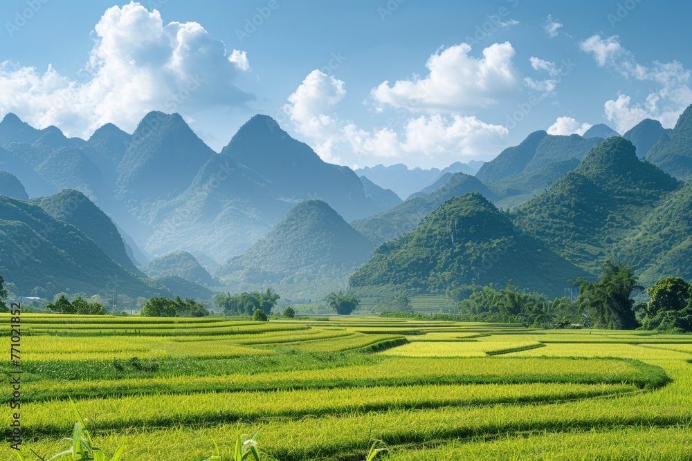 Fototapeta premium Tranquil Scene: Mountains Overlooking Rice Fields Generative AI