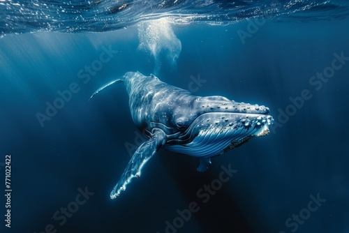 Majestic Whale in Deep Blue Underwater Photography Generative AI © AlexandraRooss