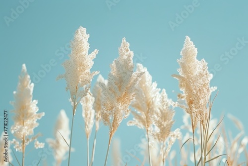 Ethereal White Reeds against a Blue Sky: High Definition and Clean Design Generative AI