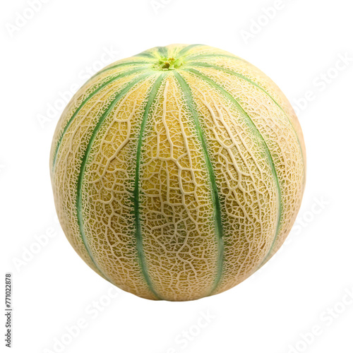 melon isolated on white background