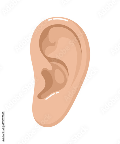 Human ear isolated on white background. Flat vector illustration