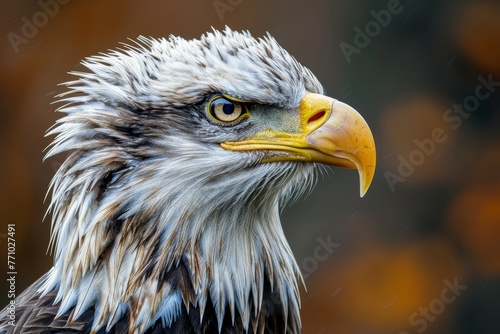 American Bald Eagle Close-Up View Generative AI