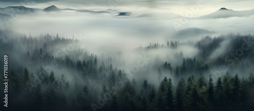 The foggy forest creates a mysterious atmosphere with its misty haze, blending into the mountains on the horizon. Clouds hover above the natural landscape, adding to the serene beauty of the sky