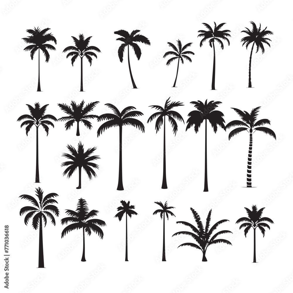 Black silhouette palm tree silhouette set Black silhouette palm tree silhouette set