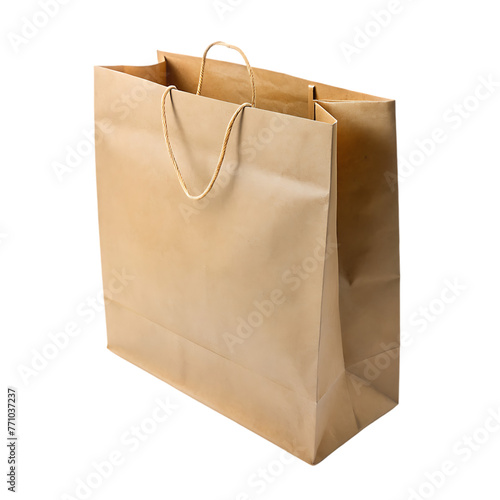 isolated brown paper bag