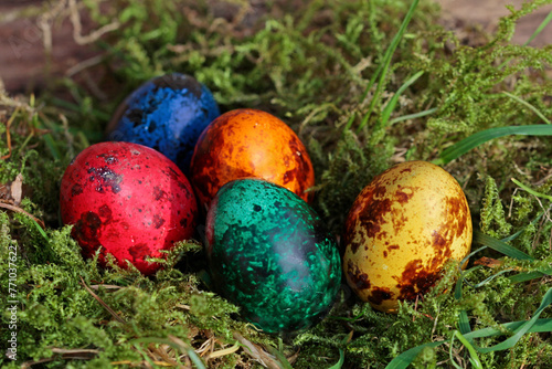 colorful easter quail eggs in the nest
