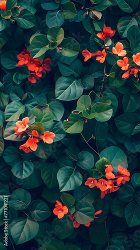 Wallpaper Mural This rich image captures the stunning red flowers blooming on a bush with shiny green leaves Torontodigital.ca