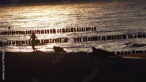 Silhouette young woman with dog along sea an sunset, slow motion