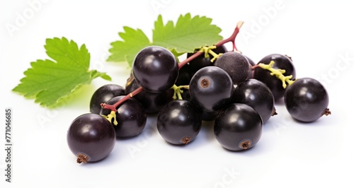 Single Blackcurrant Fruits with white background.