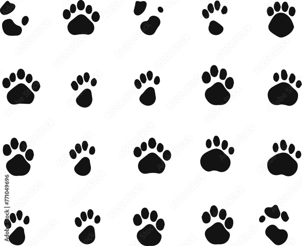 Animal paw prints vector illustration Animal paw prints vector illustration