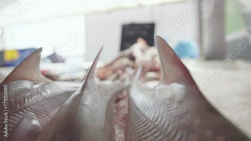 The Ouistreham Riva-Bella fish market, Caen, France