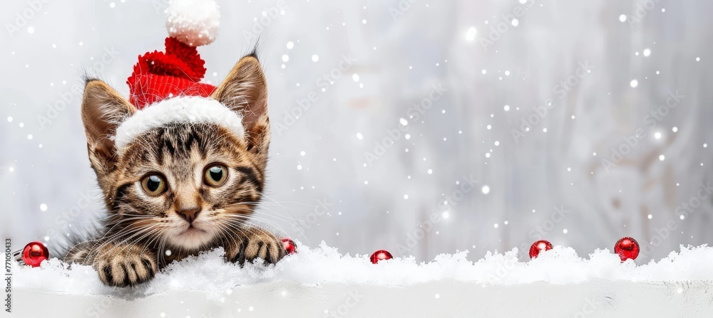 Playful kitten in festive hat peeking behind blank sign, cute christmas pet photo Playful kitten in festive hat peeking behind blank sign, cute christmas pet photo