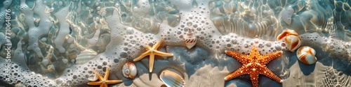 sunlight dancing on bubbles and starfish at the ocean edge