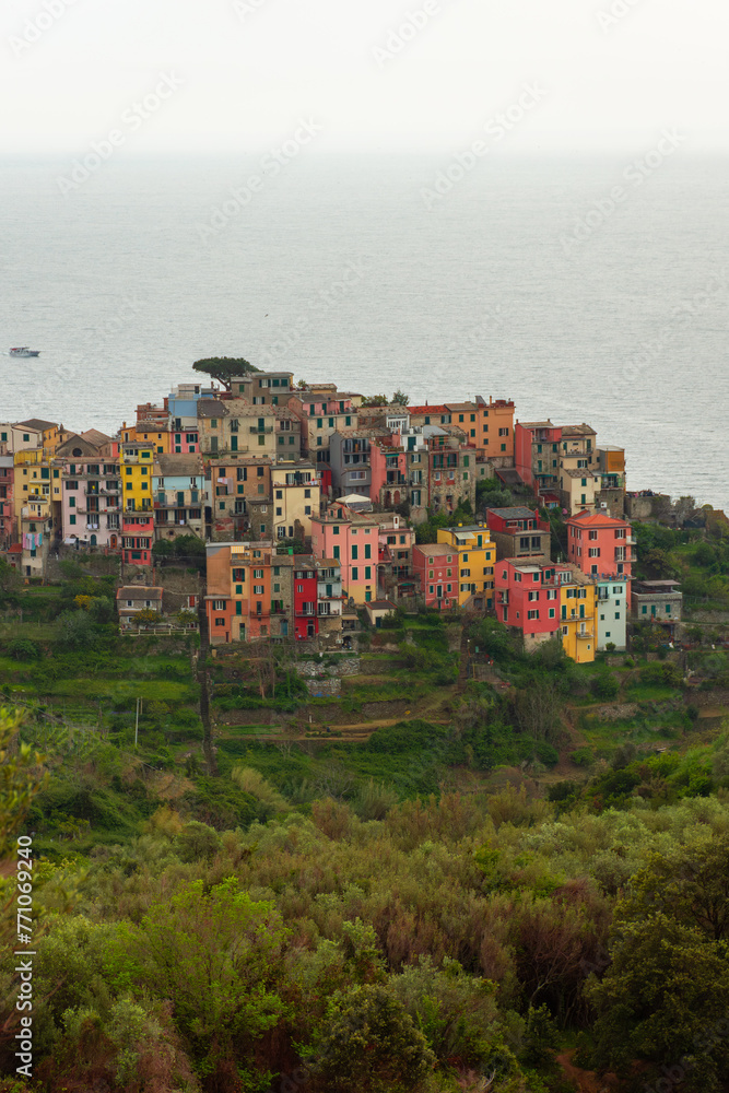 Colorful village of Corniglia upon a hill, Cinque Terre, Liguria,  Italy
