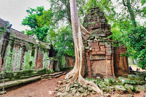 Konstfotografi Ta Phrom - Iconic 12th century Angkor Khmer Tree Temple with Tree roots intertwi