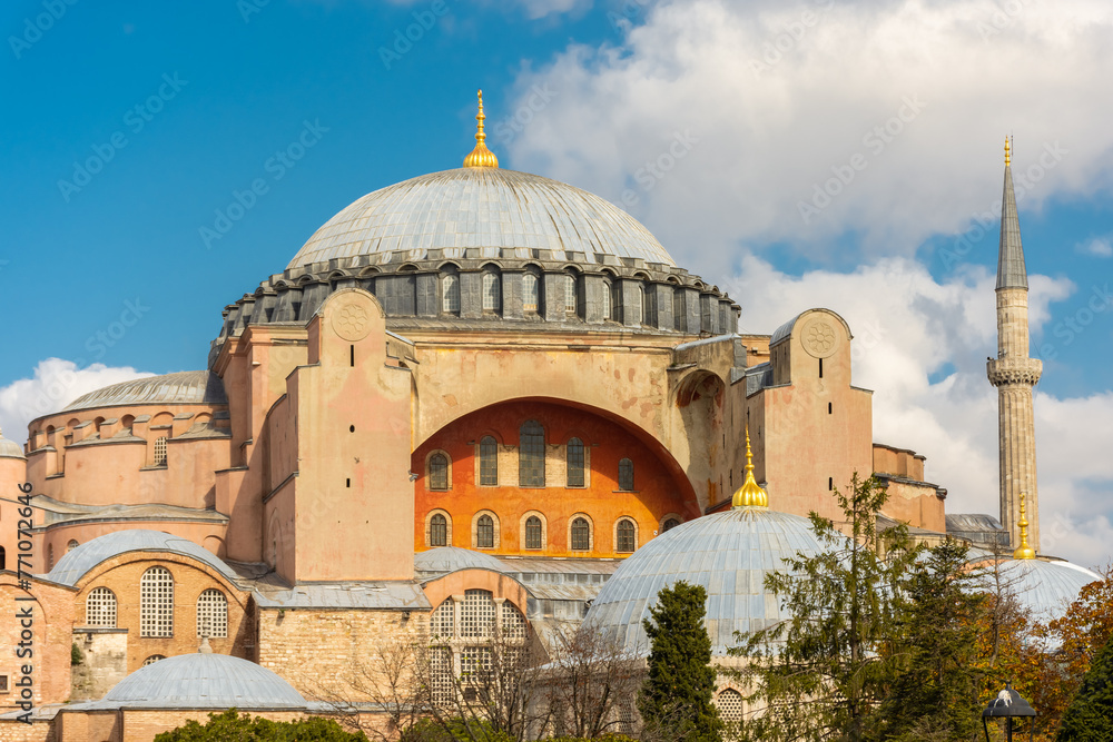 Mosque of Hagia Sophia with autumnal leaves, Istanbul,  Turkey