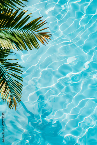 Palm leaf shadow on clear pool water