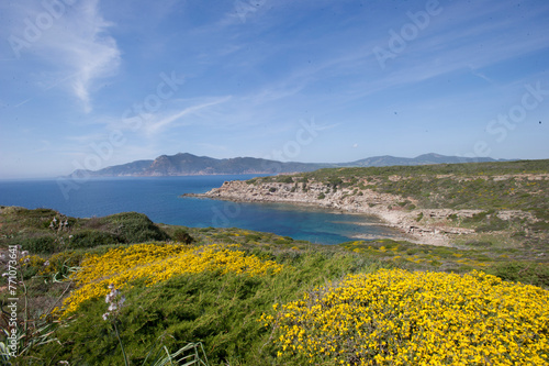 Rocky coast with crags and reefs Porto Ferro. Sassari. Sardinia. Italy. 
