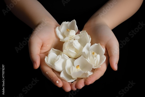 A person delicately holds white flowers in their hands, showcasing the natural beauty and purity of the white rose petals. Generative AI
