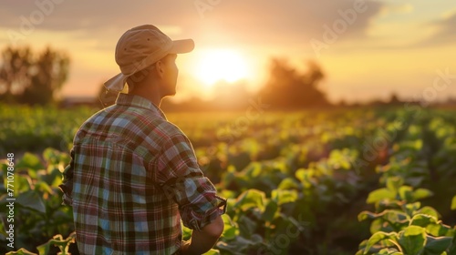 Farmer inspecting crops at sunset in a field, with warm sunlight casting a glow over the serene farmland.