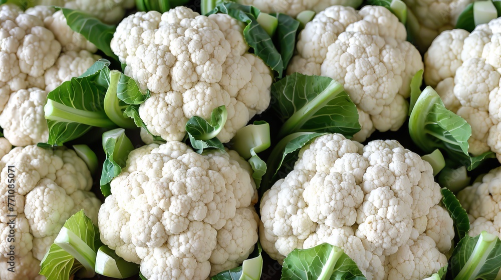 Organic cauliflower texture ideal for background design, creative projects, and artistic endeavors Organic cauliflower texture ideal for background design, creative projects, and artistic endeavors