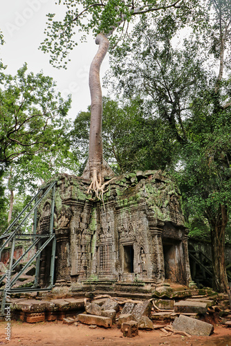 Ta Phrom - Iconic 12th century Angkor Khmer Tree Temple with Tree roots intertwined with the temple structure, famous for Tomb Raider movie featuring Angeline Jolie at Siem Reap, Cambodia, Asia photo