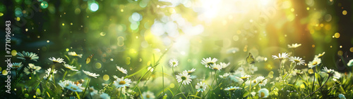 Gentle daisies emerge from a green backdrop, embraced by the sparkling radiance of the morning light