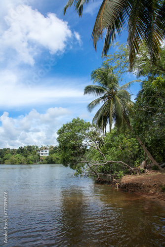 Water and trees view at an island with rich blue cloudy sky