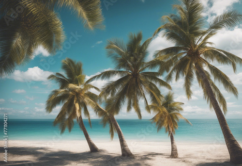 Beautiful palm tree on tropical island beach on background blue sky with white clouds and turquoise