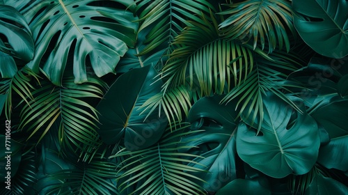 A close-up view of green leaves and palms  presented in a flat lay dark nature concept  perfect for tropical leaf backgrounds