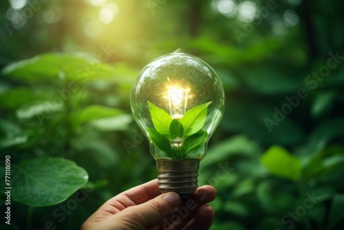 Hand holding turn on light bulb in nature on green leaf with energy source