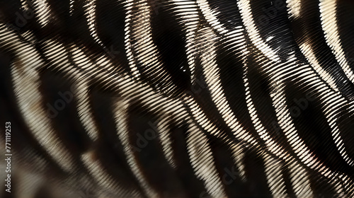 Wallpaper Mural Hypnotizing pattern of a zebra dove's feathers in a close-up photograph, showing the intricate details and texture of the feathers. Torontodigital.ca