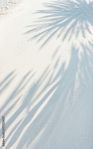 Bird's-eye view of tropical foliage casting shadows onto the water's surface. Palm leaf silhouettes on a sandy white beach. Stunning abstract background illustrating the essence of a summer vacation b