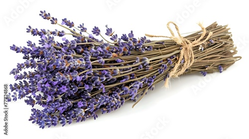 Dry lavender bunch on a white background