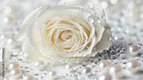 White rose and pearls in drops of water macro with soft focus on white background. Elegant gentle airy artistic template for congratulations. 