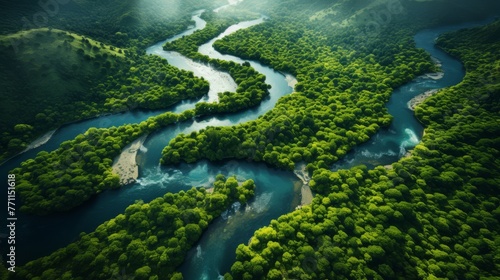Aerial view of a meandering river through a forest
