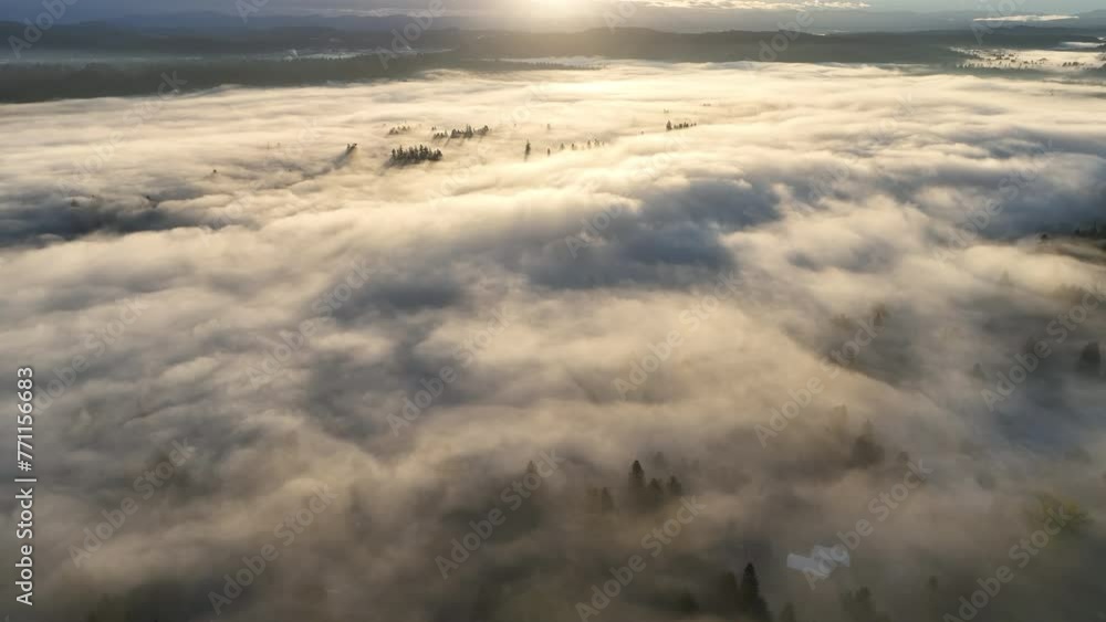 Early morning sunlight illuminates fog that has settled in the Willamette Valley in northern Oregon, not far south of Portland. The entire Pacific Northwest is known for its moist, temperate climate.