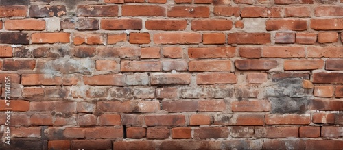 a close up of a brick wall with a lot of bricks . High quality