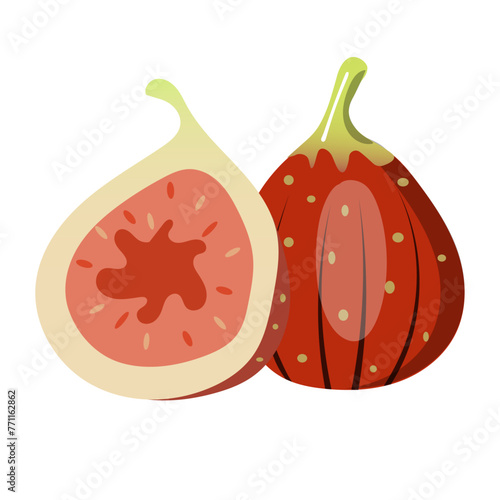 断面の見えるいちじくのイラスト素材