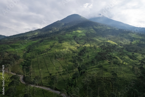 Very beautiful mountain views and tea plantations
