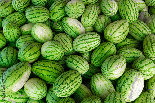 Wholesale Market and Bulk load of Fresh raw ripe juicy sweet Organic Watermelon, Citrullus lanatus, at ECR Road, Chennai, Tamilnadu. the summer harvest of large, fresh Green watermelons. photo