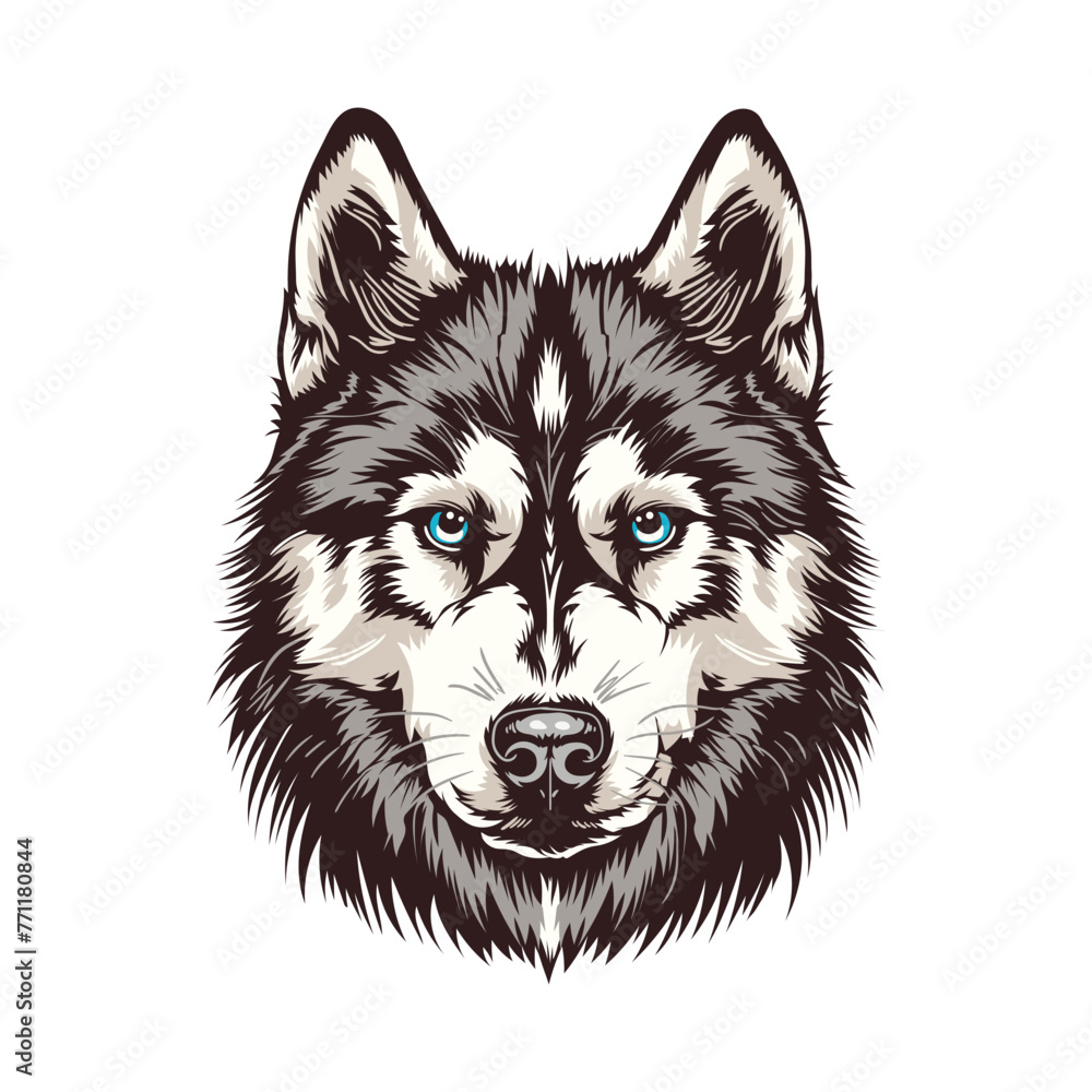 Siberian Husky Dog Stock Vector Illustration Siberian Husky Dog Stock Vector Illustration